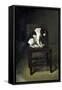 A Dog on a Chair-Guillaume Anne van der Brugghen-Framed Stretched Canvas
