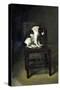 A Dog on a Chair-Guillaume Anne van der Brugghen-Stretched Canvas