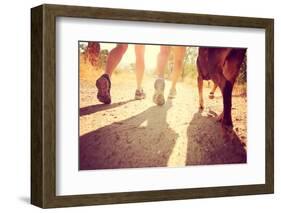 A Dog out Enjoying Nature Toned with a Retro Vintage Instagram Filter-graphicphoto-Framed Photographic Print