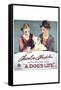 A Dog's Life, Charlie Chaplin, Edna Purviance-null-Framed Stretched Canvas