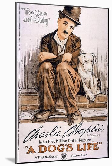 A Dog's Life Movie Charlie Chaplin Poster Print-null-Mounted Poster