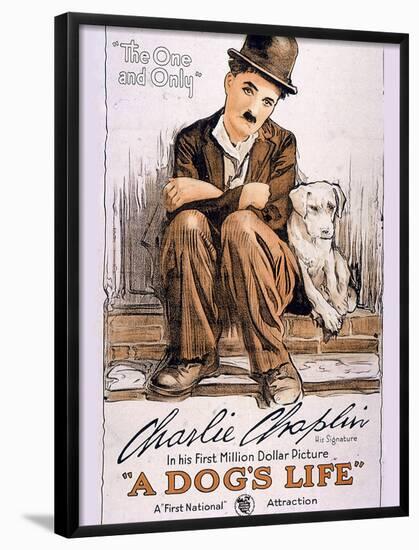 A Dog's Life Movie Charlie Chaplin-null-Framed Poster