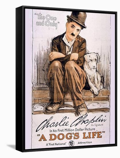 A Dog's Life Movie Charlie Chaplin-null-Framed Stretched Canvas