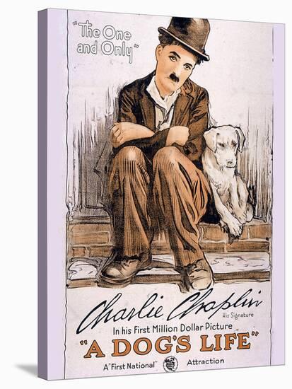 A Dog's Life Movie Charlie Chaplin-null-Stretched Canvas