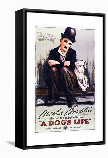 A Dog's Life - Movie Poster Reproduction-null-Framed Stretched Canvas