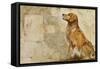 A Dog's Story 2-Elizabeth Hope-Framed Stretched Canvas