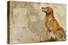 A Dog's Story 2-Elizabeth Hope-Stretched Canvas