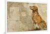 A Dog's Story 2-Elizabeth Hope-Framed Giclee Print