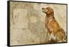 A Dog's Story 2-Elizabeth Hope-Framed Stretched Canvas