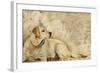 A Dog's Story 3-Elizabeth Hope-Framed Giclee Print