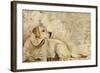 A Dog's Story 3-Elizabeth Hope-Framed Giclee Print