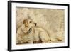 A Dog's Story 3-Elizabeth Hope-Framed Giclee Print