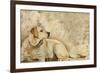 A Dog's Story 3-Elizabeth Hope-Framed Giclee Print