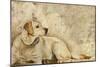 A Dog's Story 3-Elizabeth Hope-Mounted Giclee Print