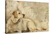 A Dog's Story 3-Elizabeth Hope-Stretched Canvas