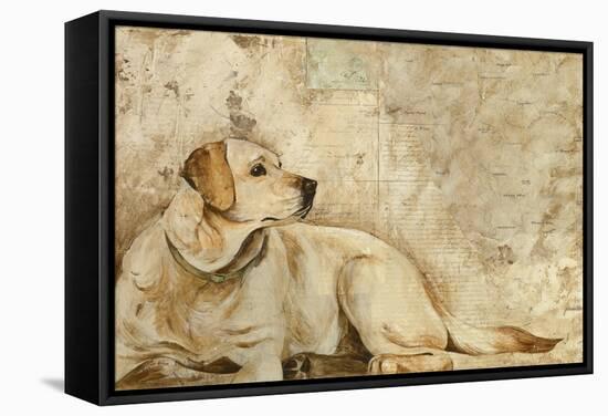 A Dog's Story 3-Elizabeth Hope-Framed Stretched Canvas