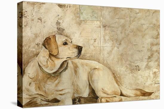 A Dog's Story 3-Elizabeth Hope-Stretched Canvas