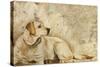 A Dog's Story 3-Elizabeth Hope-Stretched Canvas