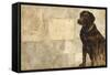 A Dog's Story 4-Elizabeth Hope-Framed Stretched Canvas