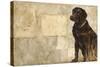 A Dog's Story 4-Elizabeth Hope-Stretched Canvas
