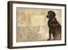 A Dog's Story 4-Elizabeth Hope-Framed Giclee Print