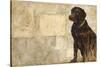 A Dog's Story 4-Elizabeth Hope-Stretched Canvas