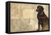 A Dog's Story 4-Elizabeth Hope-Framed Stretched Canvas