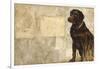 A Dog's Story 4-Elizabeth Hope-Framed Giclee Print