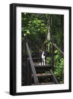A Dog Waiting on Stairs, Semuc Champey Pools, Alta Verapaz, Guatemala-Micah Wright-Framed Photographic Print