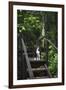 A Dog Waiting on Stairs, Semuc Champey Pools, Alta Verapaz, Guatemala-Micah Wright-Framed Photographic Print