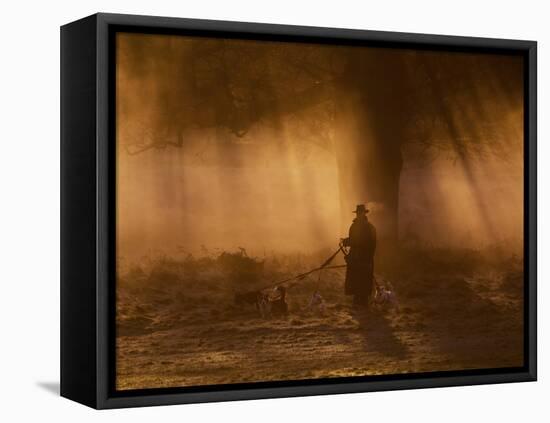 A Dog Walker Makes His Way with Four Dogs in the Early Morning Mist in Richmond Park-Alex Saberi-Framed Stretched Canvas