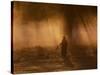 A Dog Walker Makes His Way with Four Dogs in the Early Morning Mist in Richmond Park-Alex Saberi-Stretched Canvas