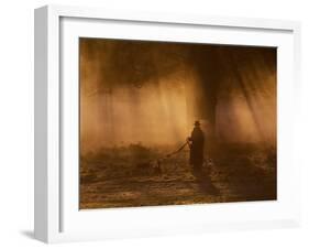 A Dog Walker Makes His Way with Four Dogs in the Early Morning Mist in Richmond Park-Alex Saberi-Framed Photographic Print