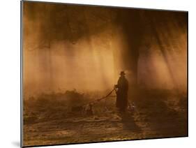 A Dog Walker Makes His Way with Four Dogs in the Early Morning Mist in Richmond Park-Alex Saberi-Mounted Photographic Print
