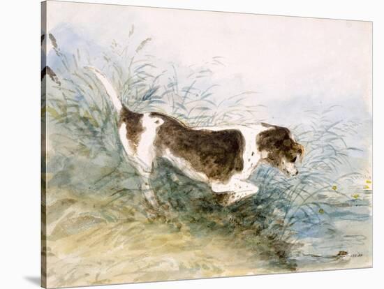 'A Dog Watching a Rat in the Water', 1831-John Constable-Stretched Canvas