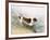 'A Dog Watching a Rat in the Water', 1831-John Constable-Framed Giclee Print