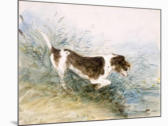 'A Dog Watching a Rat in the Water', 1831-John Constable-Mounted Giclee Print