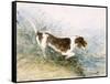 'A Dog Watching a Rat in the Water', 1831-John Constable-Framed Stretched Canvas