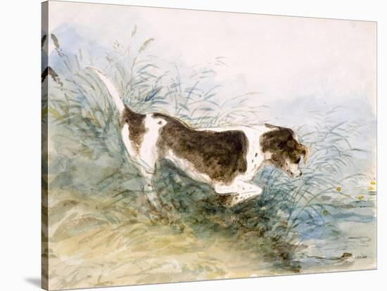 'A Dog Watching a Rat in the Water', 1831-John Constable-Stretched Canvas