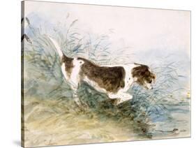 'A Dog Watching a Rat in the Water', 1831-John Constable-Stretched Canvas