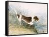 'A Dog Watching a Rat in the Water', 1831-John Constable-Framed Stretched Canvas