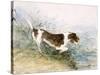 'A Dog Watching a Rat in the Water', 1831-John Constable-Stretched Canvas