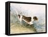 'A Dog Watching a Rat in the Water', 1831-John Constable-Framed Stretched Canvas