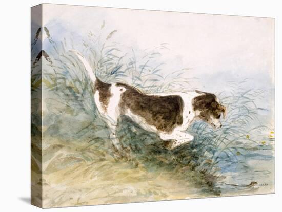 'A Dog Watching a Rat in the Water', 1831-John Constable-Stretched Canvas