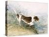 'A Dog Watching a Rat in the Water', 1831-John Constable-Stretched Canvas