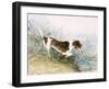 'A Dog Watching a Rat in the Water', 1831-John Constable-Framed Giclee Print