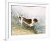 'A Dog Watching a Rat in the Water', 1831-John Constable-Framed Premium Giclee Print