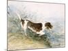 'A Dog Watching a Rat in the Water', 1831-John Constable-Mounted Premium Giclee Print