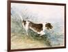 'A Dog Watching a Rat in the Water', 1831-John Constable-Framed Giclee Print