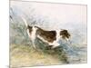 'A Dog Watching a Rat in the Water', 1831-John Constable-Mounted Giclee Print